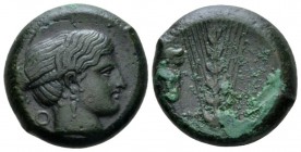 Lucania, Metapontum Bronze circa 425-350, Æ 19.5mm., 9.18g. Head of Nike r.; in l. field, annulet. Rev. Barley-ear; in l. field, ithyphallic herm. SNG...