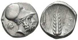 Lucania, Metapontum Nomos circa 340-330, AR 19.5mm., 7.90g. Helmeted head of Leukippos r.; in l. field, lion head r. Rev. Barley ear of seven grains, ...
