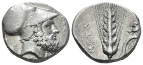 Lucania, Metapontum Nomos circa 340-330, AR 20mm., 7.90g. . Head of Leucippus r., wearing Corinthian helmet; behind, seated dog. Rev. Barley ear with ...