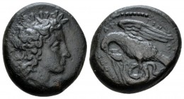 Sicily, Morgantina Hemilitron circa 339-317, Æ 18.5mm., 8.33g. Laureate head of Apollo r. Rev. Eagle flying l., holding snke in its claws. Calciati 4....