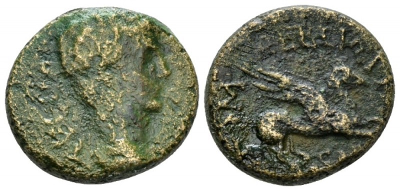 Corinthia, Corinth Tiberius, 14-37 Bronze circa 12-16, Æ 19mm., 7.12g. Laureate ...