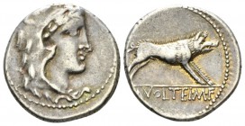 M. Volteius M.f. Denarius 78, AR 18mm., 3.69g. Head of Hercules r., wearing lion's skin. Rev. Erymanthian boar r.; in exergue, M VOLTEI M F. Babelon V...
