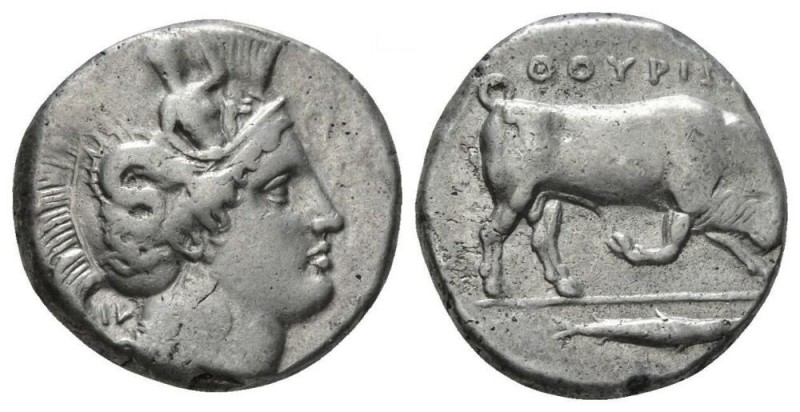 Lucania, Thurium Dinomos circa 380-350, AR 26.5mm., 15.73g. Lucania, , circa 380...