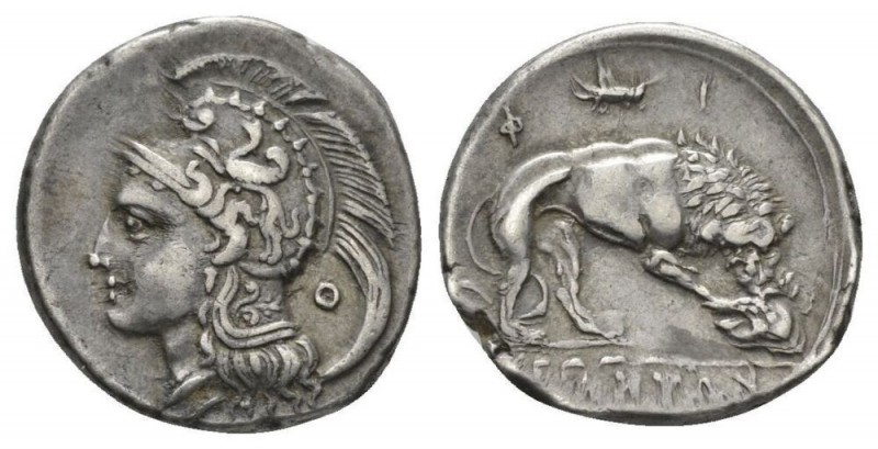 Lucania, Velia Nomos circa 305-290, AR 23.5mm., 7.53g. Head of Athena l., wearin...