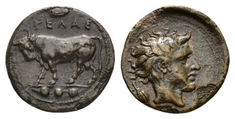 Sicily, Gela Tetras circa 420-405, Æ 17.5mm., 3.37g. Bull standing l.; olive lea...