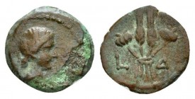 Egypt, Alexandria. Dattari. In the name of Livia, wife of Augustus Hemiobol circa 17-18 (year 4), Æ 15mm., 1.71g. Draped bust r. Rev. Bundle of two gr...