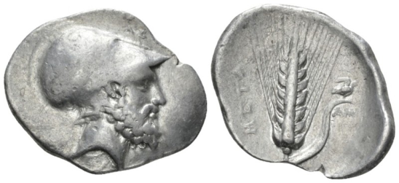 Lucania, Metapontum Nomso circa 340-330, AR 27.5mm., 7.78g. Head of Leucippus r....