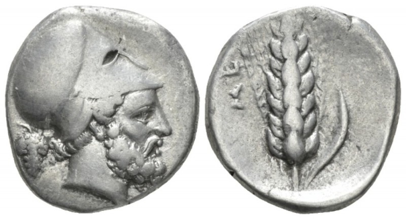 Lucania, Metapontum Nomos circa 340-330, AR 19mm., 7.75g. Head of Leucippus r., ...