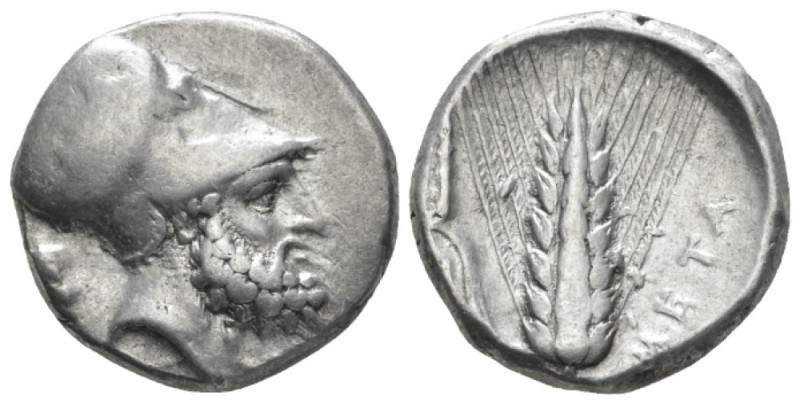 Lucania, Metapontum Nomos circa 340-330, AR 19mm., 7.85g. Helmeted head of Leuci...