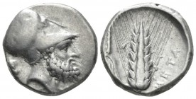 Lucania, Metapontum Nomos circa 340-330, AR 19mm., 7.85g. Helmeted head of Leucippus r.; in l. field, lion head r. Rev. Barley ear of seven grains, le...