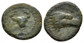 Sicily, Agrigentum Onkia circa 338-287, Æ 13.5mm., 1.67g. Crab; below, monogram. Rev. Head of eagle r. SNG Copenhagen 87. Calciati 87

Brown-green p...