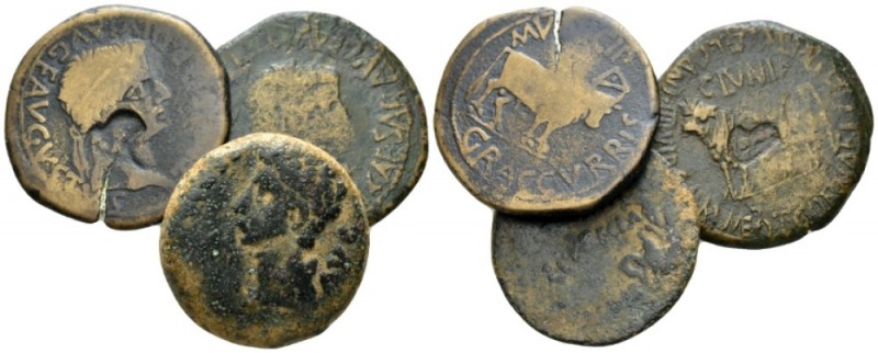 Hispania, Clunia Tiberius, 14-37 Lot of three bronzes 14-37, Æ 30mm., 35.98g. TI...