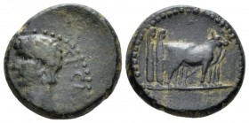 Macedonia, Philippi Claudius, 41-54 Bronze circa 41-54, Æ 17mm., 4.98g. TI CLAV AVG Bare head l. Rev. Two priests ploughing r. RPC 1660.

Nice brown...
