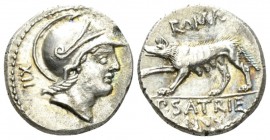 P. Satrienus. Denarius circa 77, AR 17mm., 3.66g. Helmeted head of Roma r.; behind, TXXXIII. Rev. ROMA She-wolf l., r. forepaw raised; in exergue, P·S...