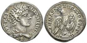 Caracalla, 198-217 Tetradrachm Laodicaea circa 208-209, AR 27.5mm., 14.36g. Laureate, draped bust r. Rev. Eagle standing facing, head l., with wing sp...