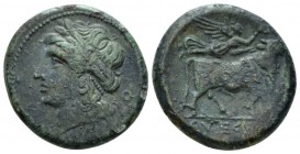 Campania, Suessa Aurunca Bronze circa 265-240, Æ 20mm., 6.04g. Bronze circa 265-240, 6.04 g. Laureate head of Apollo l. Rev. Man-headed bull walking r...