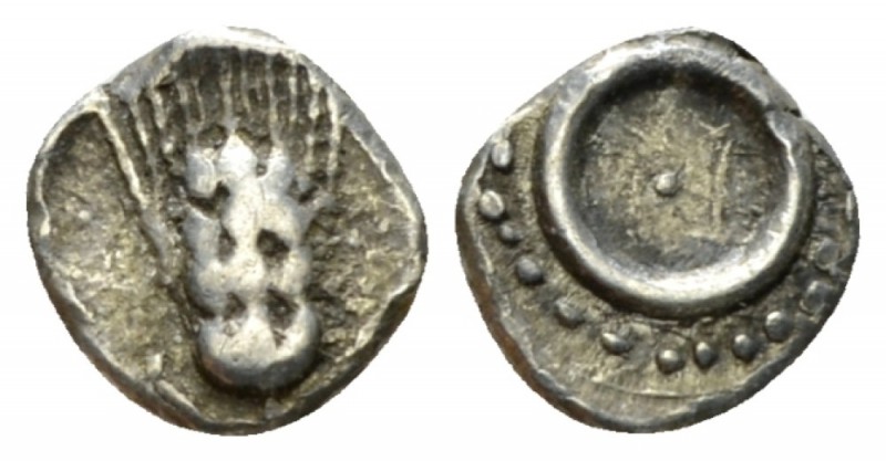 Lucania, Metapontum Obol circa 440-430, AR 8.5mm., 0.45g. Barley ear. Rev. Annul...