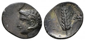 Lucania, Metapontum Diobol circa 325-275, AR 13mm., 0.83g. Head of Apollo Karneios l. Rev. META Barley ear with leaf to r.; above leaf, grasshopper. N...