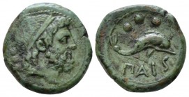 Lucania, Second Punic War. Poseidonia as Paestum Quadrans circa 218-201, Æ 17mm., 4.35g. Diademed male head r.; behind, three pellets. Rev. Dolphin r....