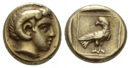 Lesbos, Mytilene Hecte circa 337-326, EL 10.5mm., 2.53g. Head of Apollo Karneios with horn of Ammon r. Rev. Eagle standing right, head reverted, withi...