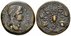 Commagene, Antiochus IV Epiphanes, 38-72. Samosata Bronze circa 38-72, Æ 26mm., 13.14g. Diademed head r. Rev. Scorpion; all within wreath. RPC 3856.
...