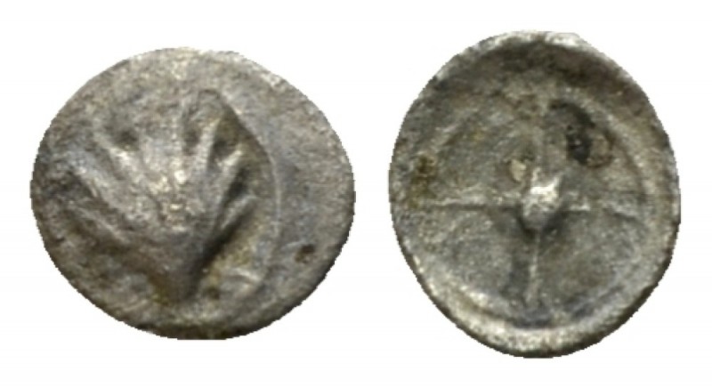 Calabria, Tarentum Hexante or Sixth of litra circa 480-470, AR 5.5mm., 0.08g. Sh...