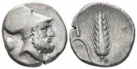 Lucania, Metapontum Nomos circa 340-330, AR 20mm., 7.75g. Helmeted head of Leukippos r.; in l. field, lion head r. Rev. Barley ear of seven grains, le...