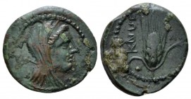 Campania, Capua Quincunx circa 216 - 211, Æ 18mm., 3.06g. Veiled bust of Juno r., sceptre over left shoulder. Rev. Corn-ear and triple knot; at left, ...
