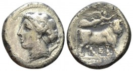 Campania, Neapolis Didrachm circa 275-250, AR 20mm., 7.08g. Diademed head of nymph l.; in r. field, aphlaston. Rev. Man-faced bull advancing r., crown...