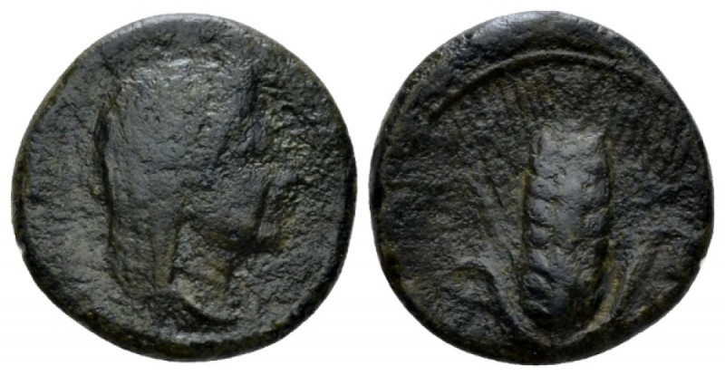 Apulia, Luceria Bronze circa 325-250, Æ 16.5mm., 3.37g. Veiled head of Demeter r...