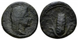 Apulia, Luceria Bronze circa 325-250, Æ 16.5mm., 3.37g. Veiled head of Demeter r. Rev. Barley-ear. SNG Copenhagen 668. Historia Numorum Italy 801.

...