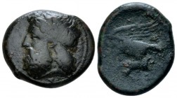 Sicily, Agrigentum Bronze circa 338-287, Æ 18mm., 7.30g. Laureate head of Zeus l. Rev. Eagle flying l., holding hare. SNG ANS 1113-1114. Calciati 116....