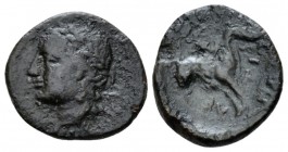 Sicily, Leontini Bronze circa 210-200, Æ 15mm., 1.54g. Laureate head of Apollo l. Rev. Lion walking l. Calciati 13. SNG Morcom 608.

Rare, brown ton...
