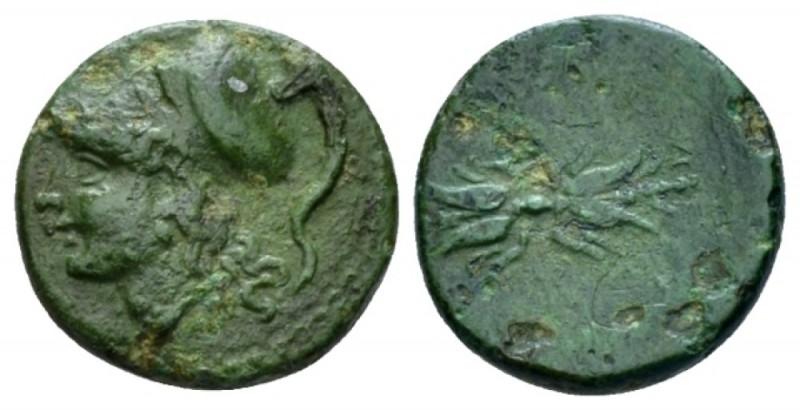 Sicily, Agathokles, 317-289. Syracuse Bronze circa 317-289, Æ 13.5mm., 1.64g. He...