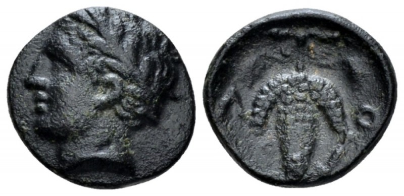 Locri Opuntii, Locris Bronze third or last quarter of IV century, Æ 14.5mm., 1.8...