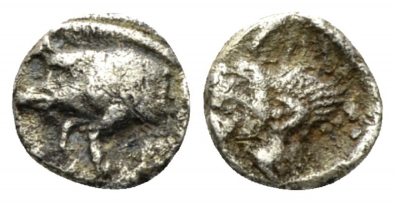 Mysia, Cyzicus Obol circa 450-400, AR 8.5mm., 0.38g. Forepart of boar l.; to r.,...