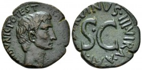 Octavian as Augustus, 27 BC – 14 AD As circa 15 BC, Æ 25mm., 10.11g. Bare head r. Rev. Legend around SC. C 473. RIC 386.

Nice dark green patina, Go...