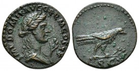Domitian, 81-96 Semis circa 90-91, Æ 18.5mm., 3.53g. Draped bust of Apollo r. Rev. Raven perched r. on branch; in exergue, S C. C 527. RIC 710.

Att...