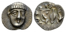 Campania, Phistelia Obol circa 325-275 BC, AR 11mm., 0.51g. Facing male head, slightly r. Rev. Corn-grain; above, dolphin and below, shell. SNG ANS 56...