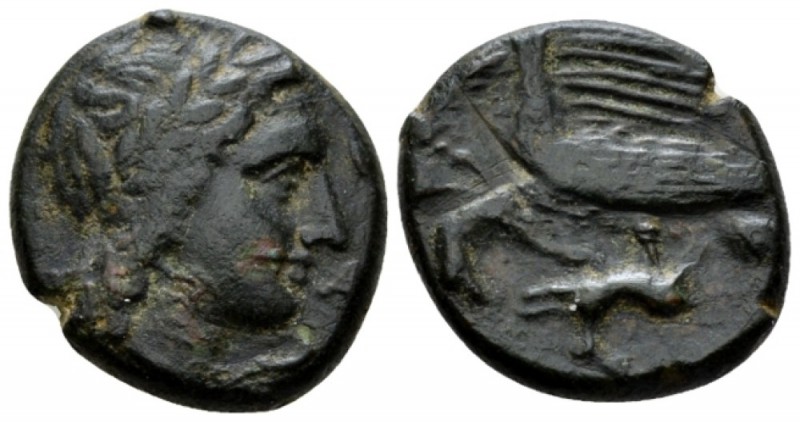 Sicily, Agrigentum Bronze circa 287-279, Æ 23mm., 8.68g. Laureate head of Apollo...