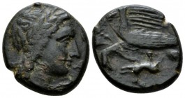 Sicily, Agrigentum Bronze circa 287-279, Æ 23mm., 8.68g. Laureate head of Apollo r. Rev. Eagles flying l., holding hare. Calciati 125.

Dark green p...