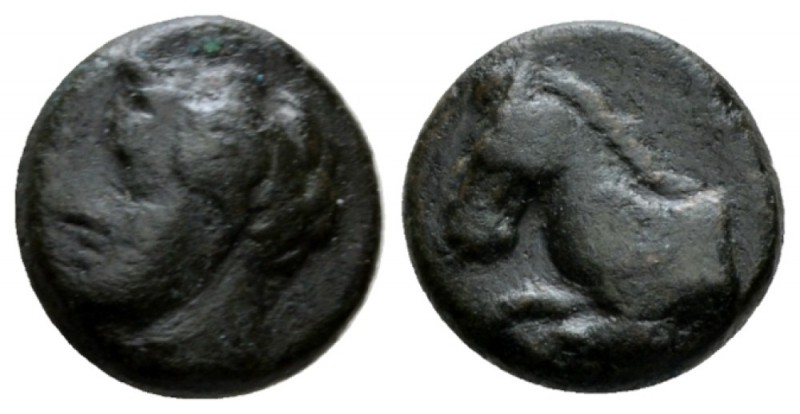 Sicily, Panormus Bronze circa 336-330, Æ 11.5mm., 2.31g. Male head l. Rev. Forep...