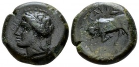 Sicily, Tauromenium Bronze after 357, Æ 21mm., 7.54g. Laureate head of Apollo l. Rev. Bull advancing l. Calciati 2. SNG Copenhagen 919.

Scarse, att...
