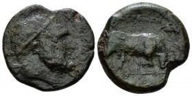 Sicily, Tauromenium Bronze circa 275-216, Æ 21mm., 6.32g. Diademed head of Heracles r. Rev. Bull butting r. Calciati 19. SNG Copenhagen 934 var.

Br...