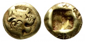 Lydia, Kings of Lydia, Uncertain 1/12 stater VII-561 BC (before Croesus), EL 7mm., 1.13g. Head of lion r. Rev. Incuse punch. Rosen 654. Weidauer 79-85...