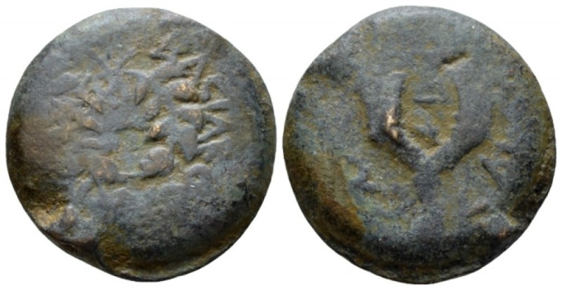 Judaea, Hasmonean Kingdom. Mattathias Antigonos (Mattatayah) Jerusalem 8 Prutot ...