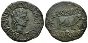 Hispania, Calagurris Tiberius, 14-37 As circa 14-37, Æ 27.5mm., 8.40g. Laureate head r. Rev. Bull standing r.. ACIP 3128c. RPC 448.

Nice light gree...