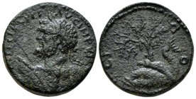 Corinthia, Corinth Septimius Severus, 193-211 Bronze circa 193-211, Æ 24.5mm., 11.29g. Laureate bust l., holding spear and shield. Rev. Melikertes-Pal...