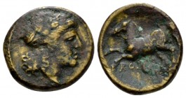 Bronze circa 234-231, Æ 15mm., 3.05g. Laureate head of Apollo r. Rev. Bridled horse prancing l.; below, ROMA. Sydenham 29. Crawford 26/3. Historia Num...