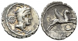 L. Papius. Denarius serratus 79, AR 19.5mm., 3.66g. Head of Juno Sospita r.; behind, wreath. Rev. Gryphon leaping r.; below, torque. In exergue, L·PAP...